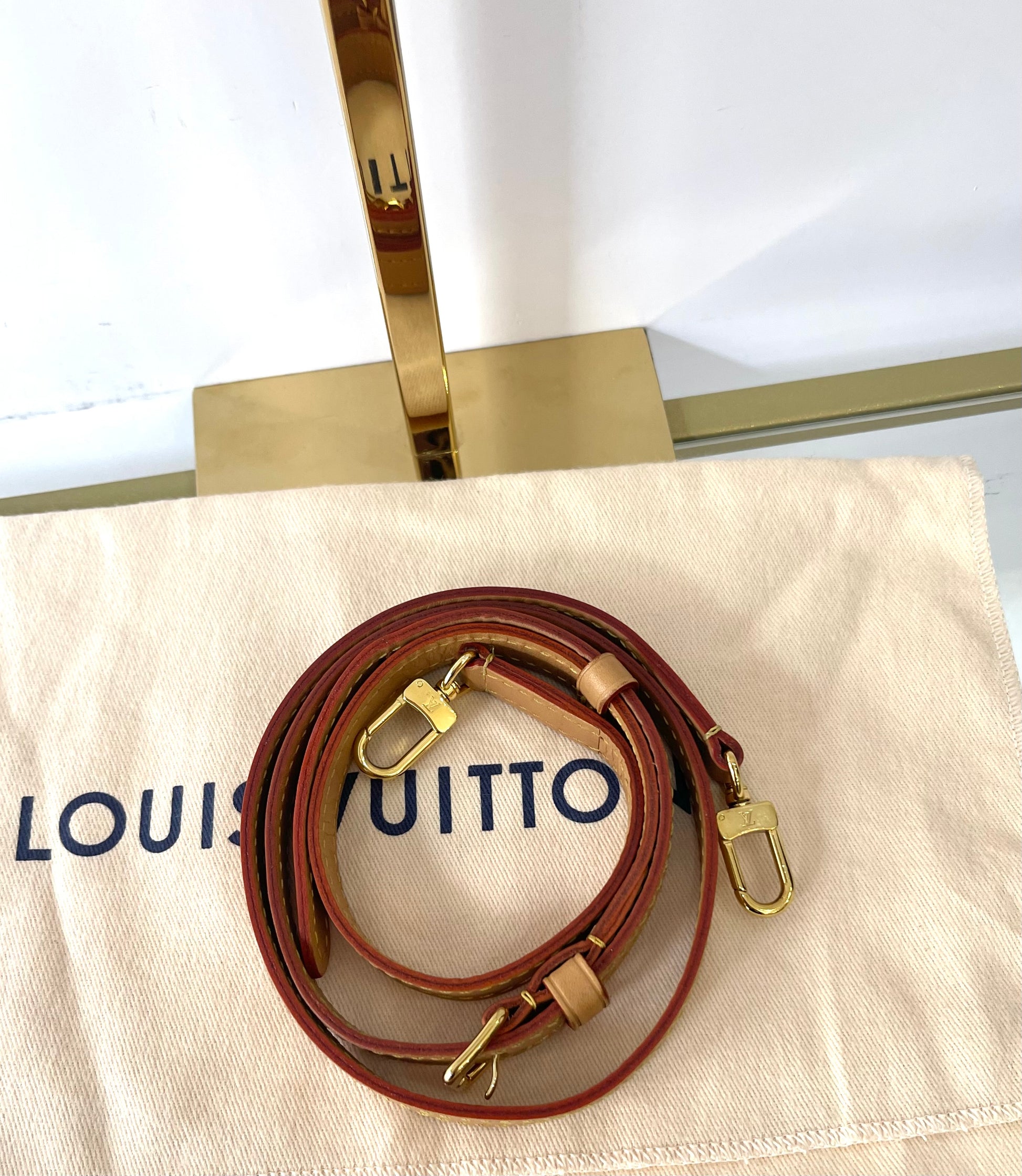 Borsa Petit Sac Plat Monogram Louis Vuitton