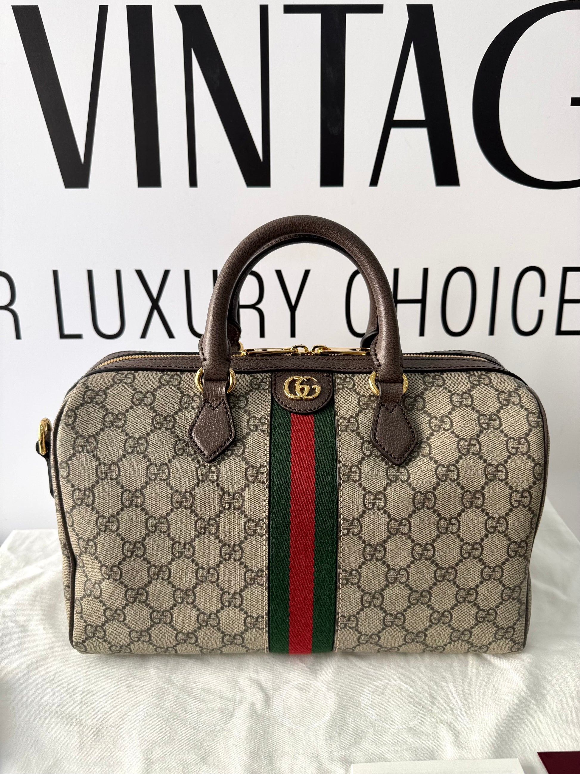 Bauletto Ophidia GG Gucci