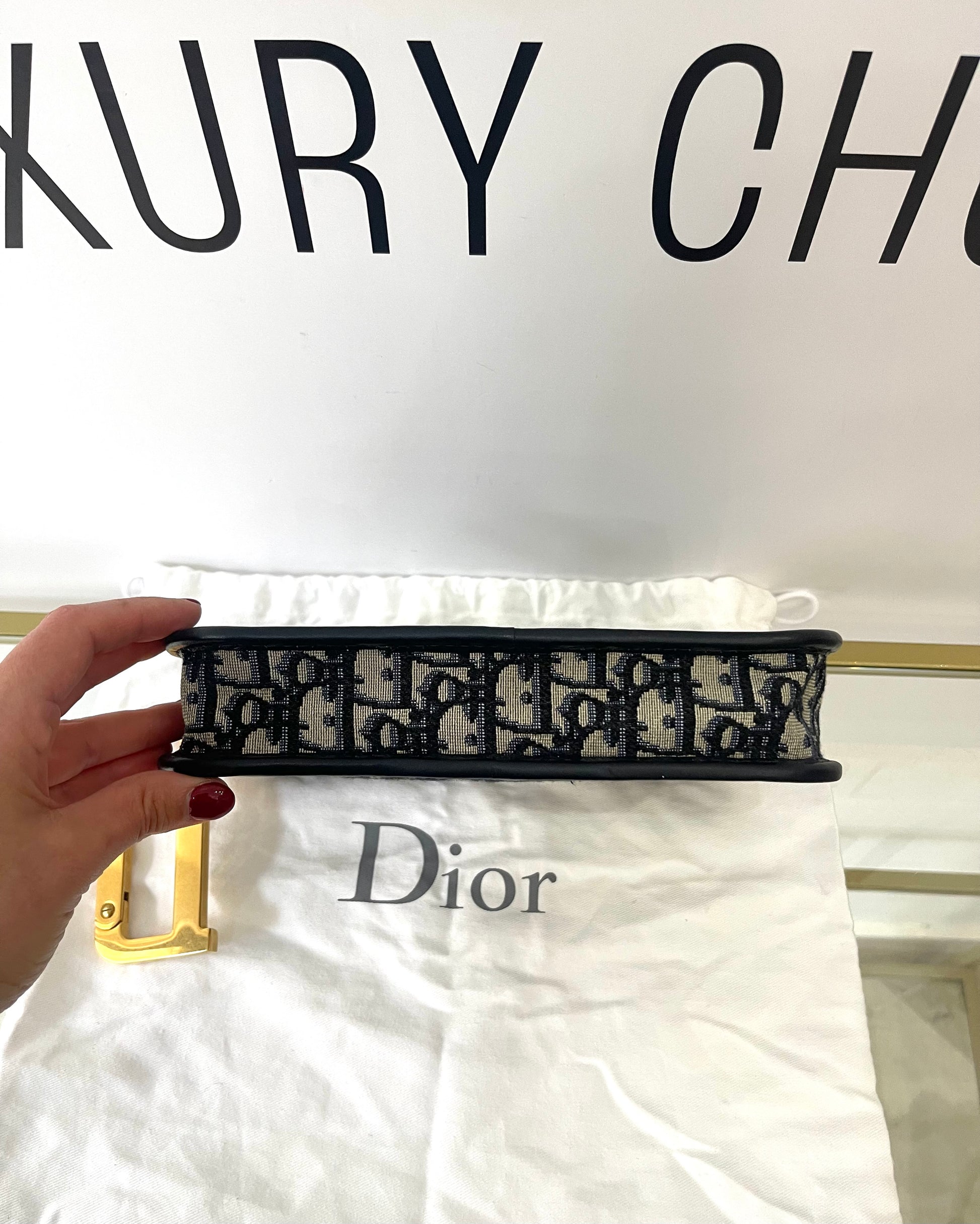 Pochette DiorQuake Christian Dior