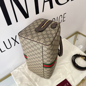 Bauletto Ophidia misura grande Gucci