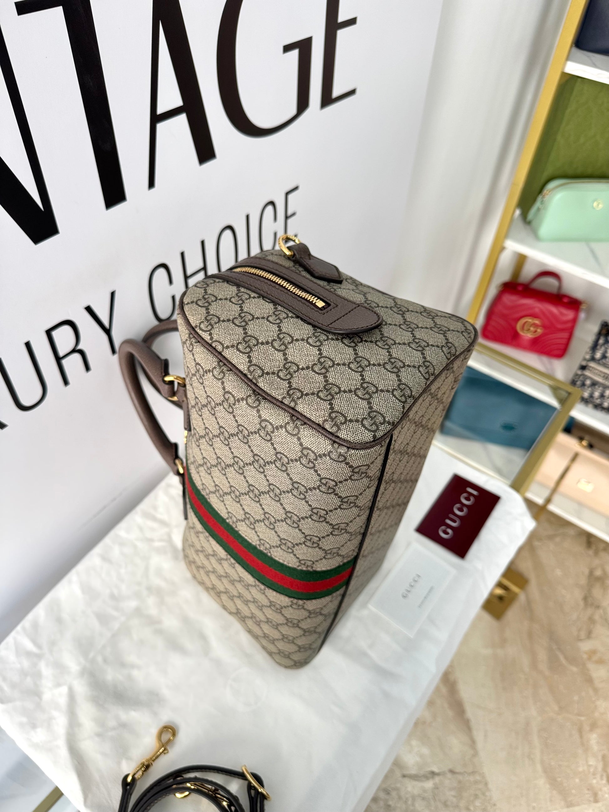 Bauletto Ophidia GG Gucci