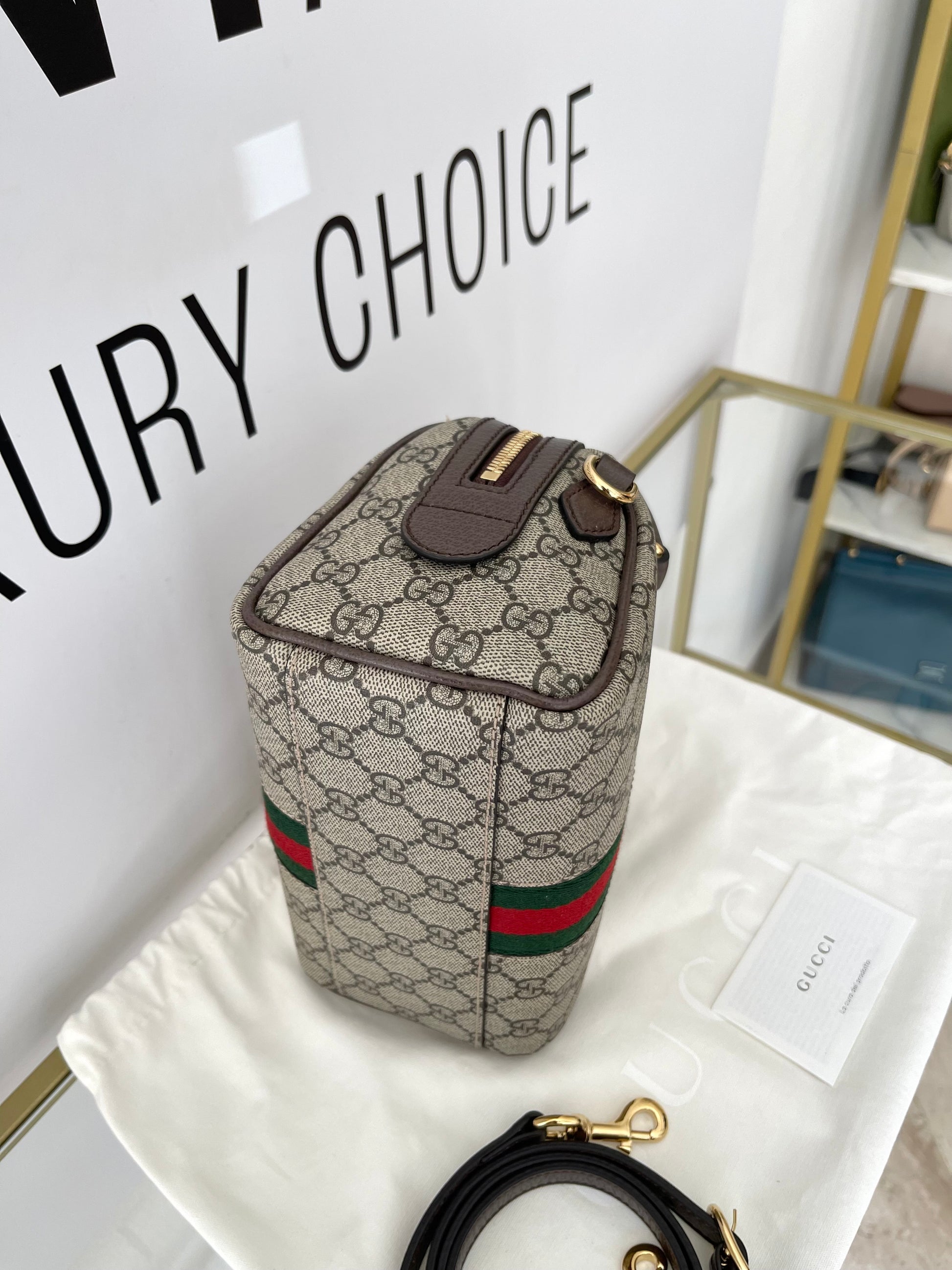 Bauletto Ophidia GG Gucci