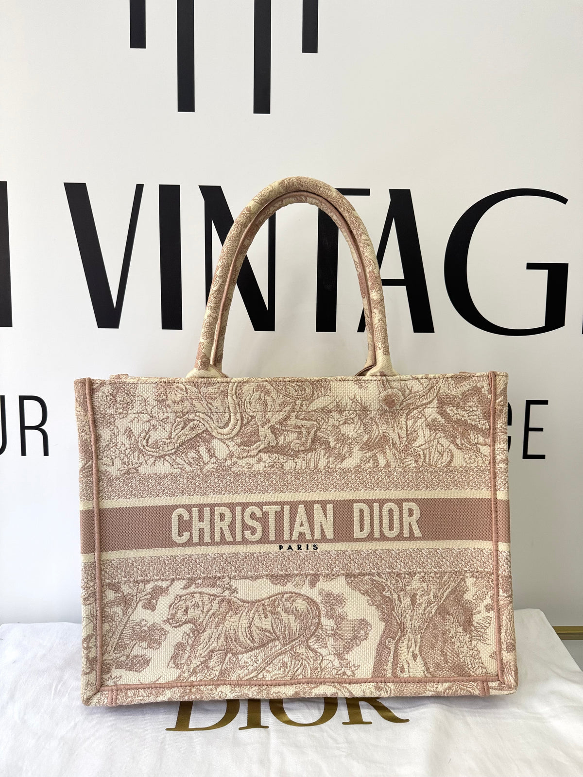 Borsa Dior Book Tote Christian Dior