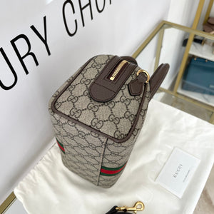 Bauletto Ophidia GG Gucci