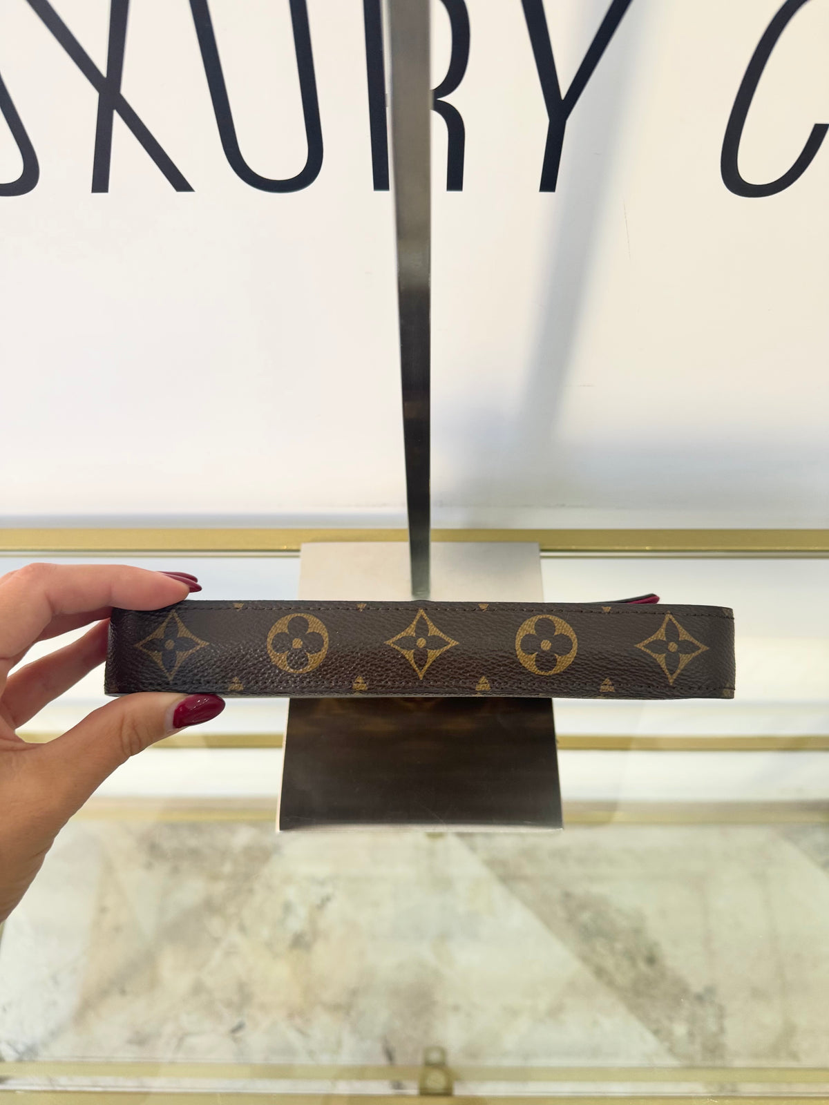 Pochette Félicie Monogram Louis Vuitton