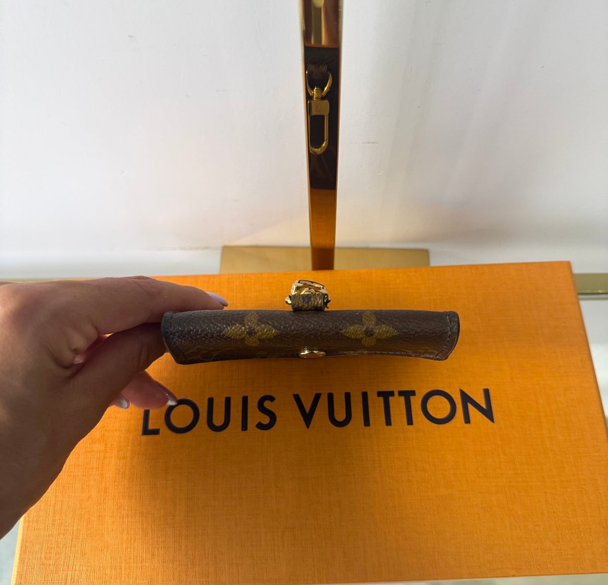 Pochette Félicie Strap & Go Monogram Louis Vuitton