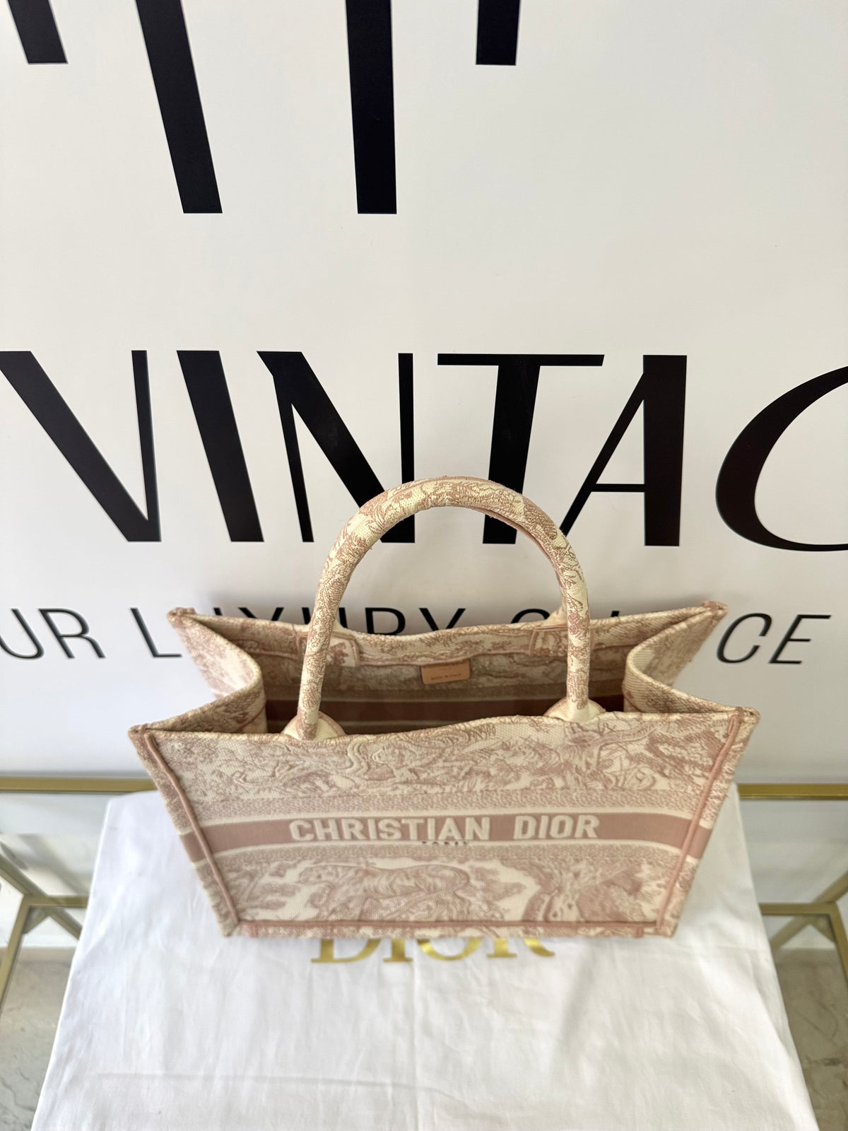 Borsa Dior Book Tote Christian Dior