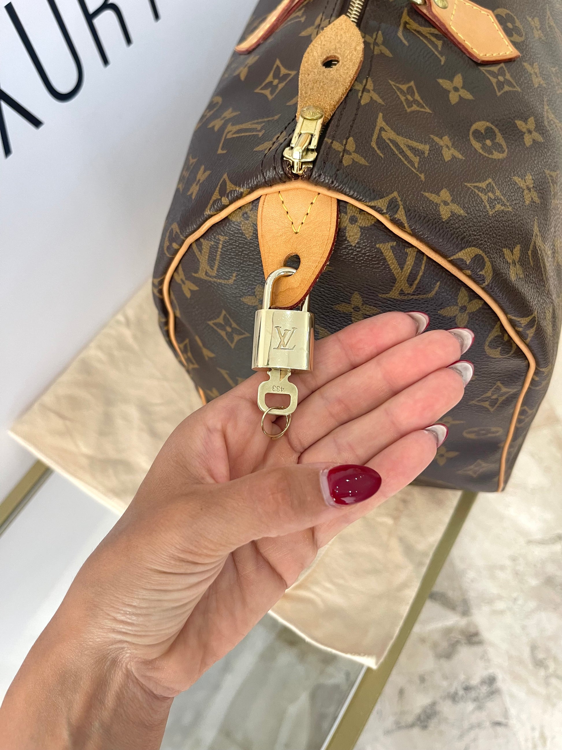 Borsa Speedy 40 Monogram Louis Vuitton
