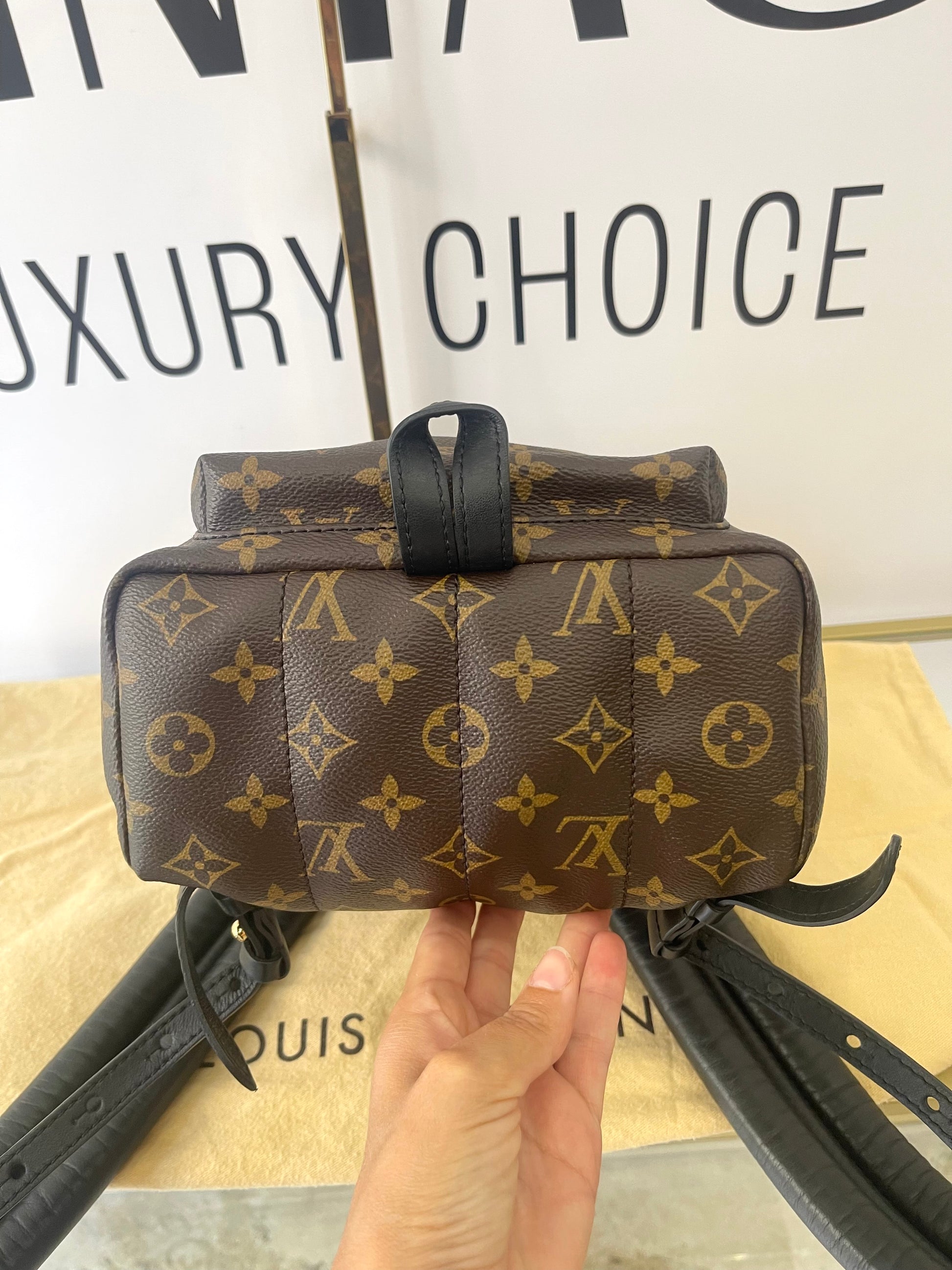 Zaino Palm Springs Monogram Louis Vuitton