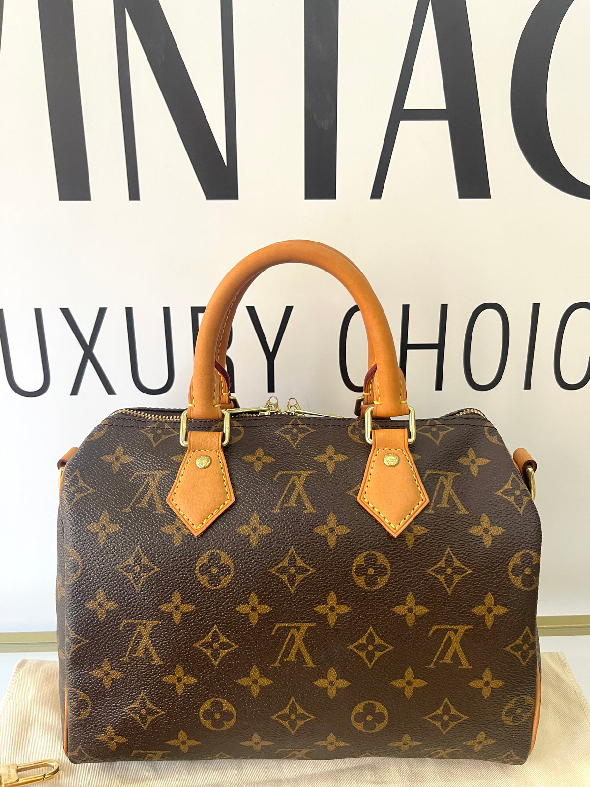 Borsa Speedy Bandoulière 25 Monogram Louis Vuitton