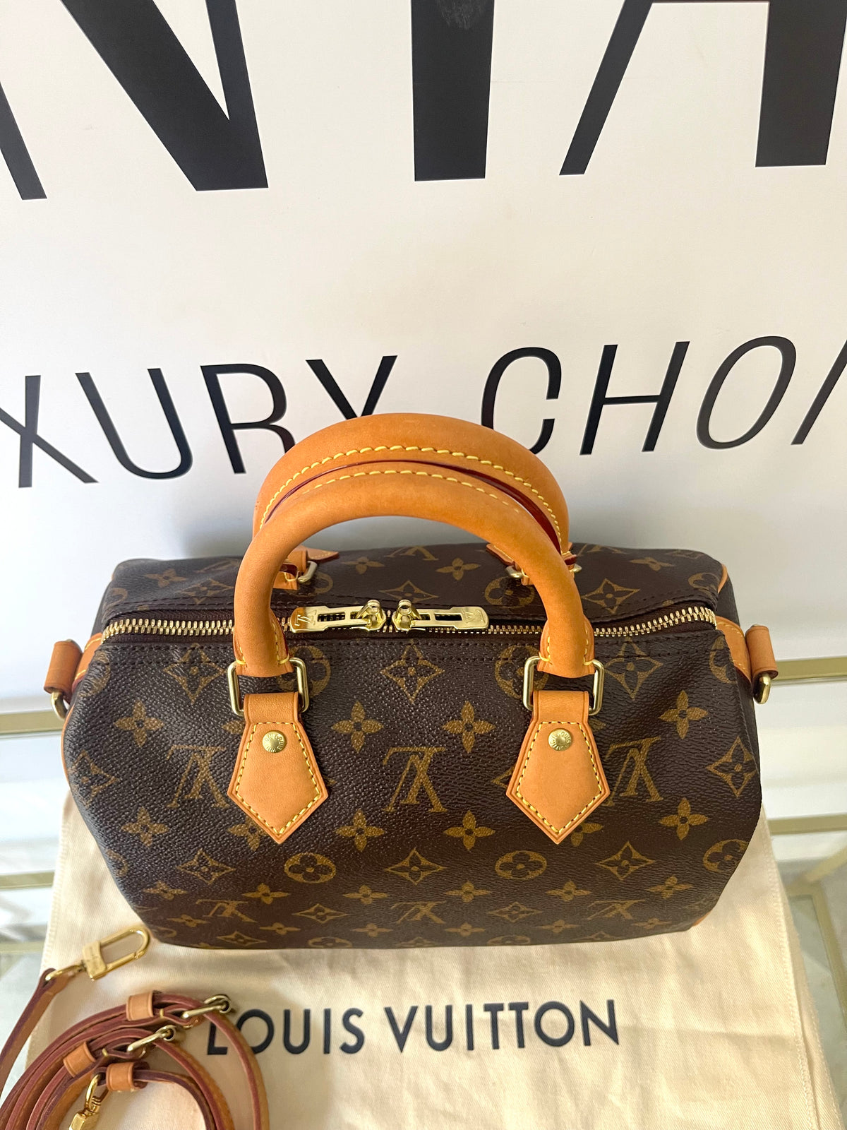 Borsa Speedy Bandoulière 25 Monogram Louis Vuitton