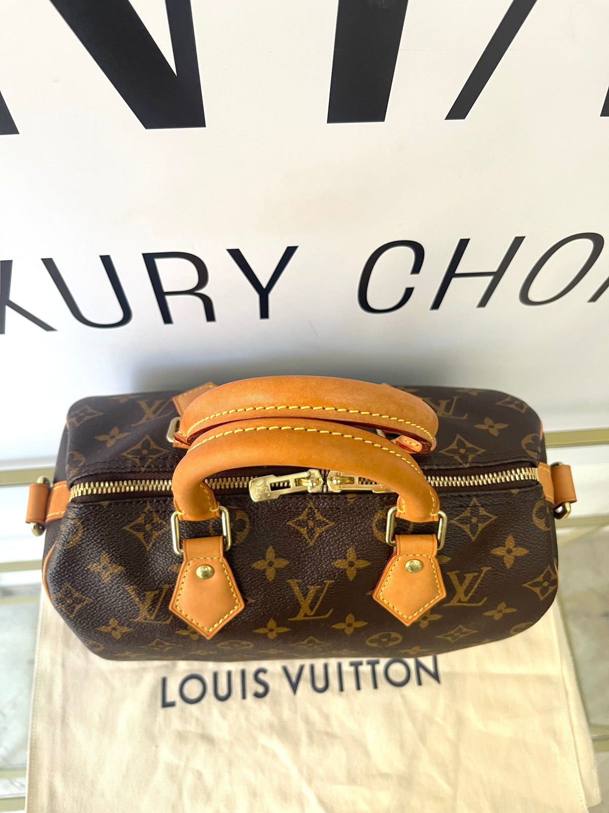 Borsa Speedy Bandoulière 25 Monogram Louis Vuitton