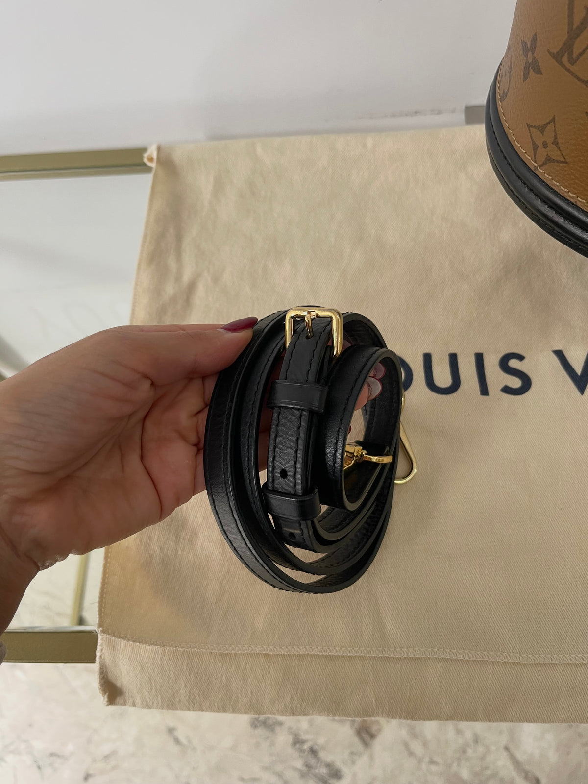 Borsa Cannes Monogram Reverse Louis Vuitton