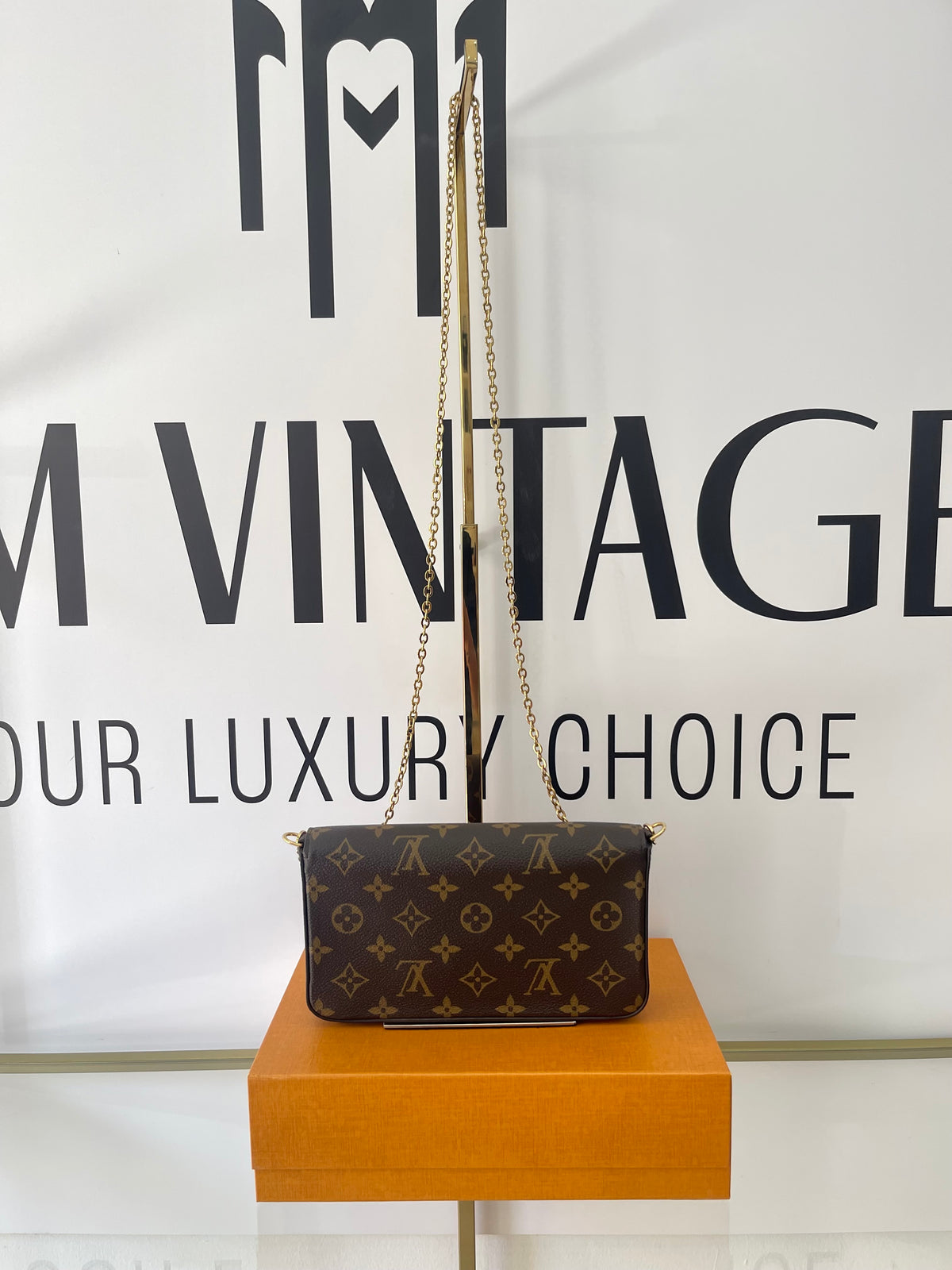 Borsa Félicie Vivienne Westwood in Paris Monogram Limited Edition Louis Vuitton