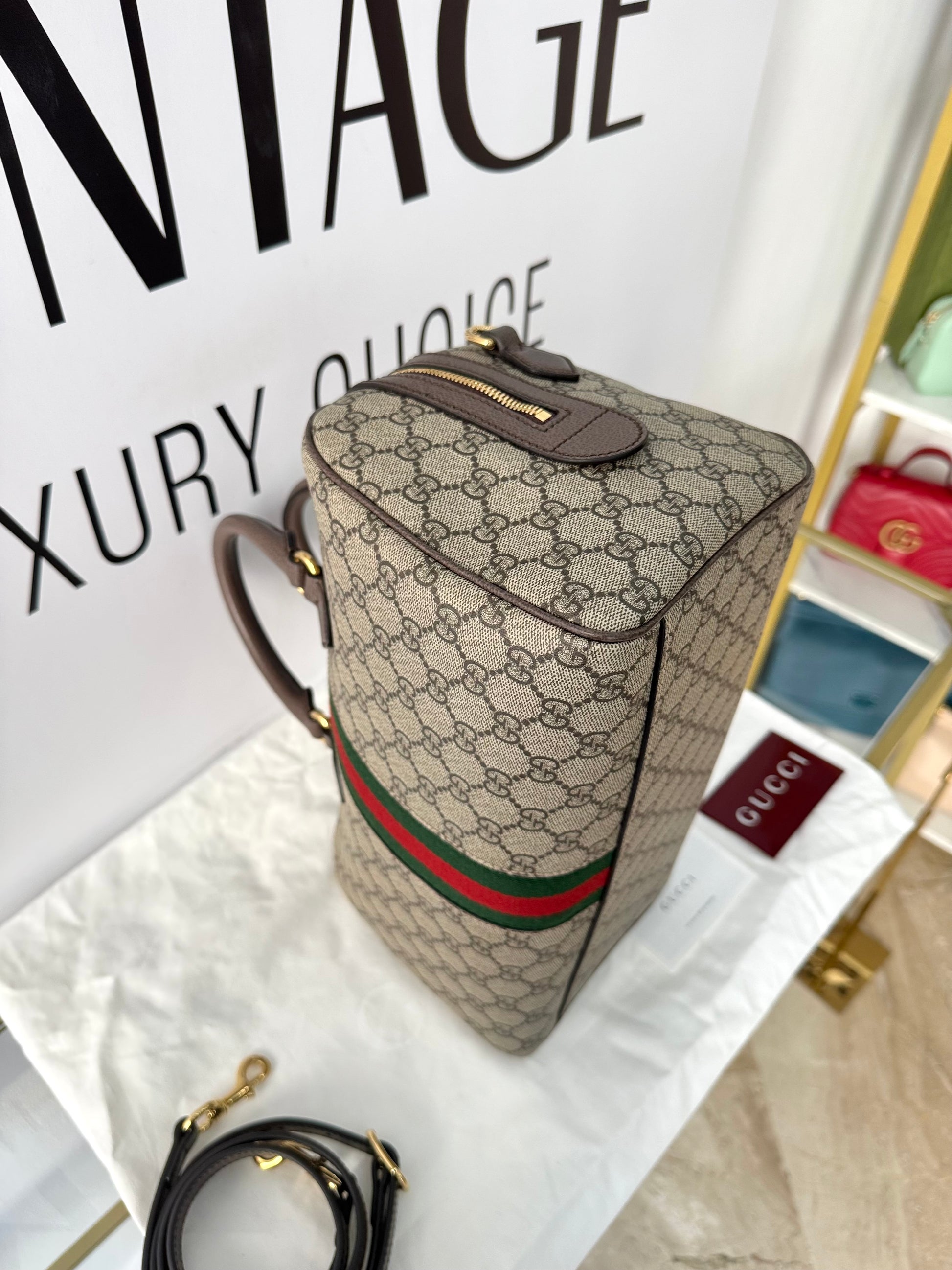 Bauletto Ophidia GG Gucci