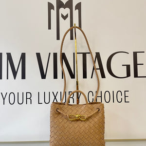 Borsa Andiamo misura piccola Bottega Veneta