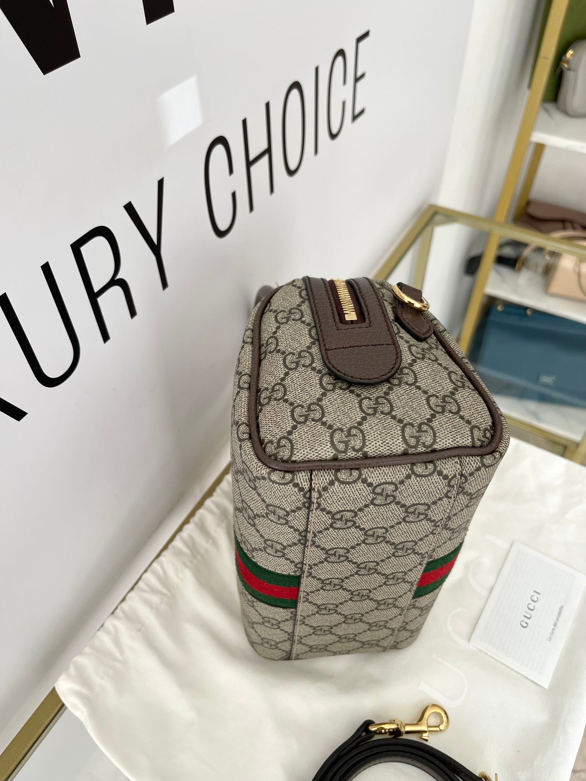 Bauletto Ophidia GG Gucci