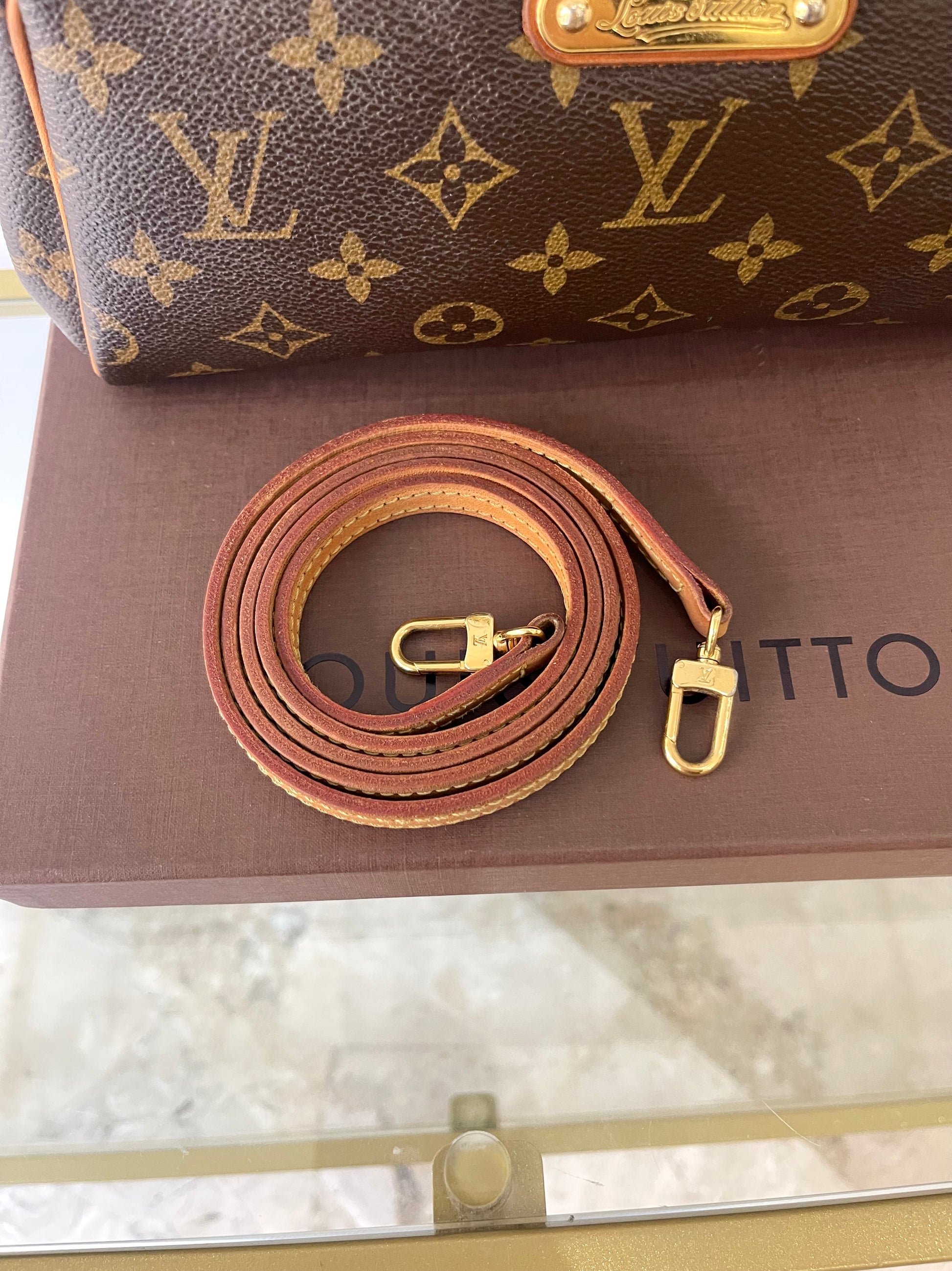 Borsa Eva Monogram Louis Vuitton