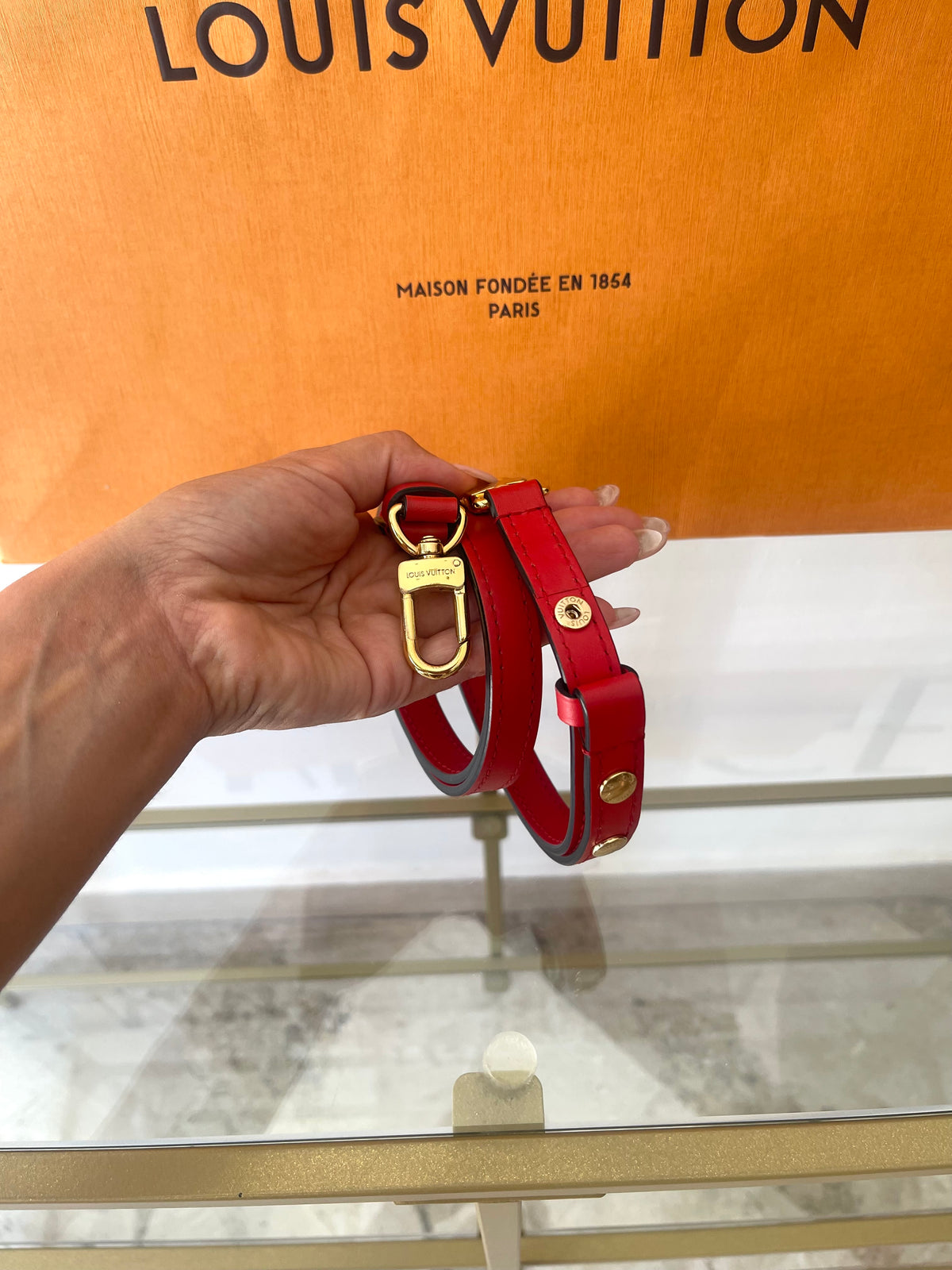 Borsa NéoNoé MM Monogram Louis Vuitton