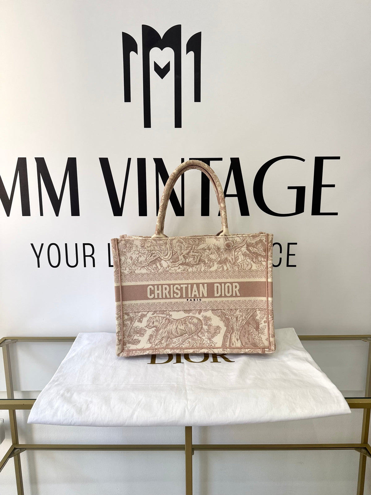 Borsa Dior Book Tote Christian Dior