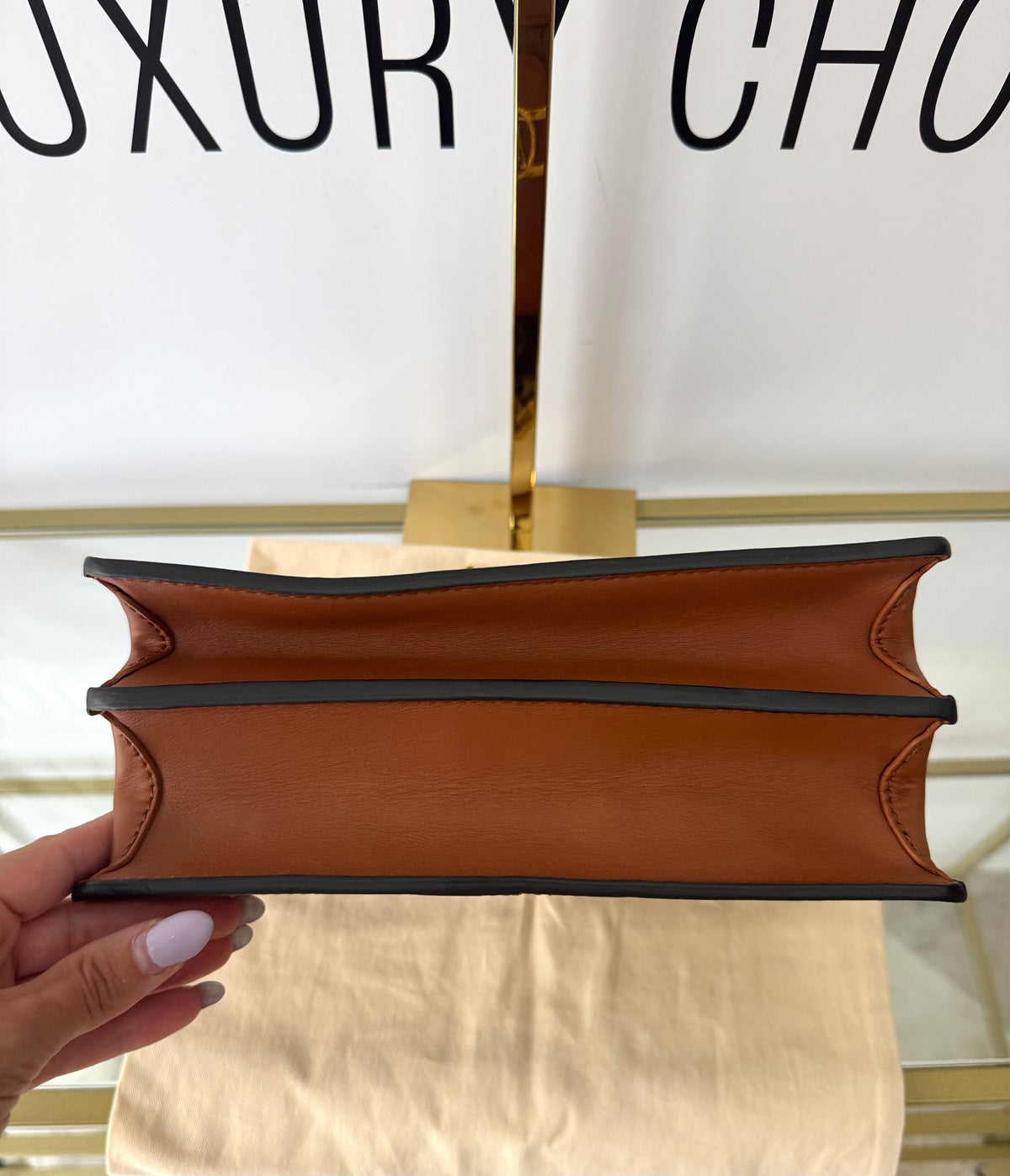 Borsa Dauphine MM Monogram/Monogram Reverse Louis Vuitton
