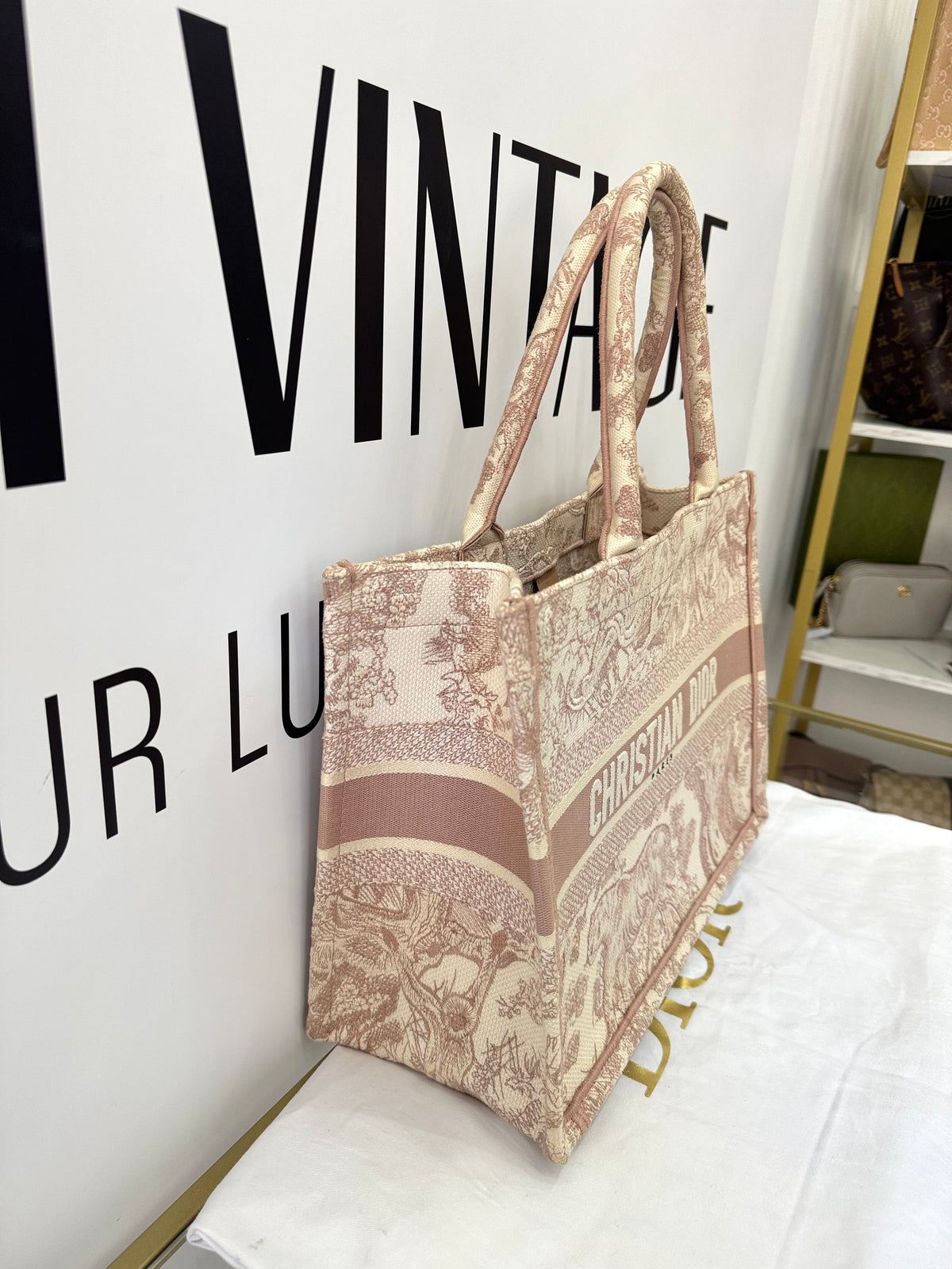 Borsa Dior Book Tote Christian Dior