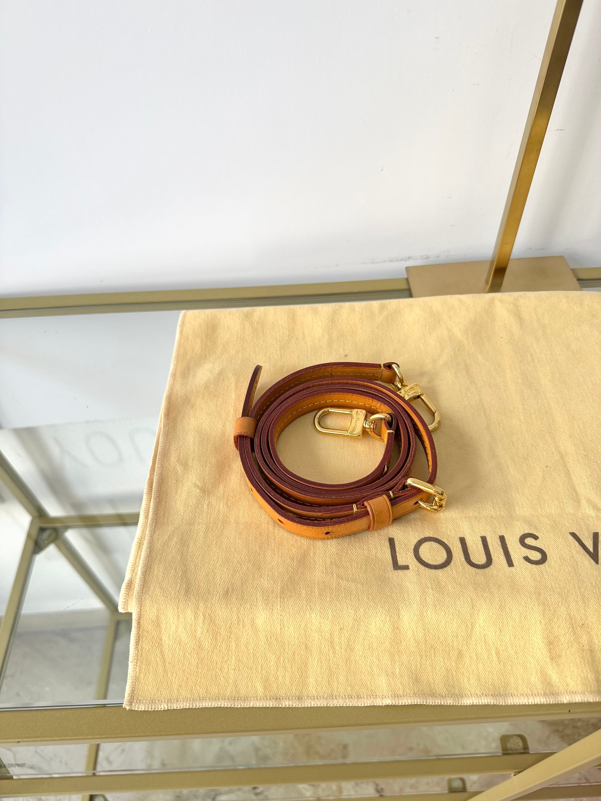 Borsa Turenne PM Monogram Louis Vuitton