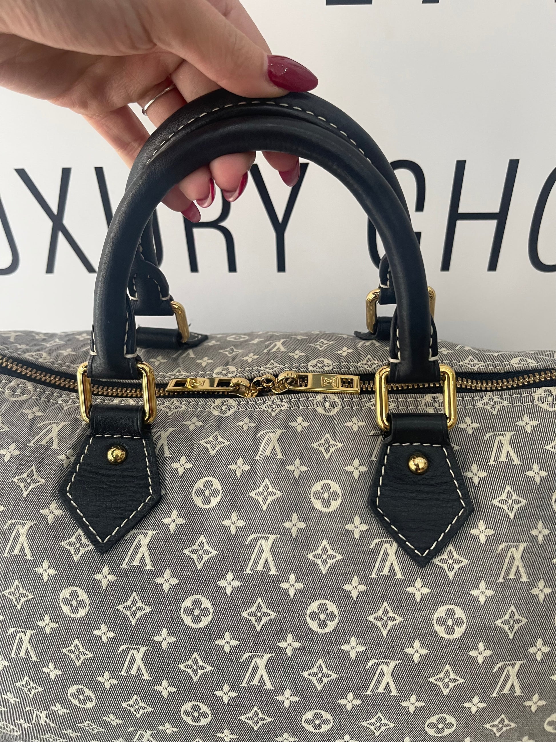 Borsa Speedy 30 Monogram Idylle Louis Vuitton