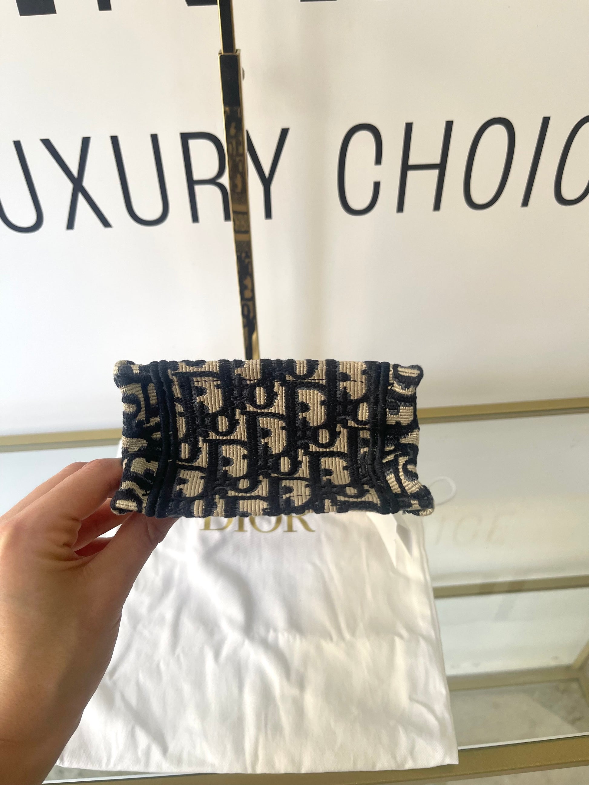 Borsa Dior Book Tote Mini Christian Dior