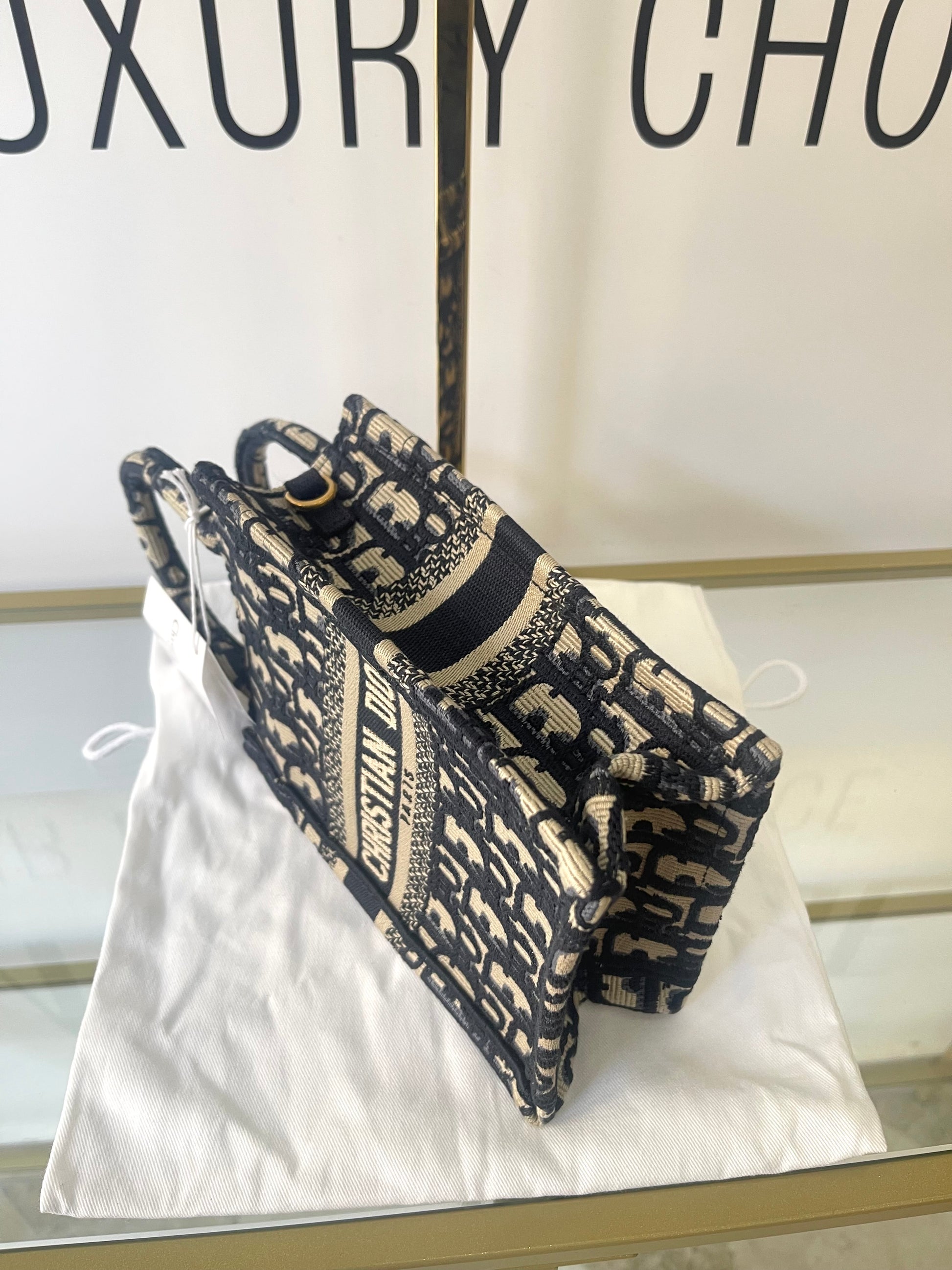 Borsa Dior Book Tote Mini Christian Dior