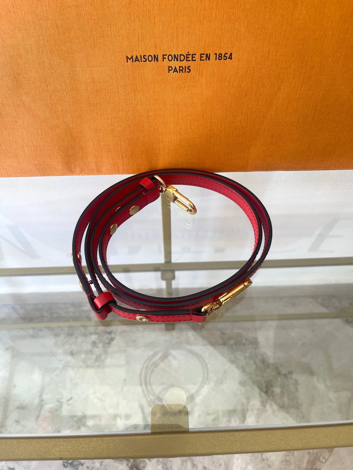 Borsa NéoNoé MM Monogram Louis Vuitton